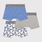 Petit Bateau Clothing / Underwear Paris Boxers - 3-pack